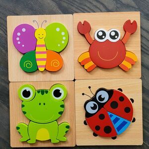 6pcs Wooden Puzzle & Matching Flashcards Set